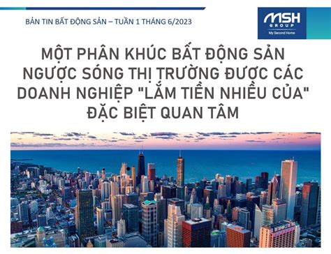  Vườn Quốc Gia Đại Trường: Thiên Đường Xanh Thơ Mộng Cho Những Trái Tim Yêu Thiện