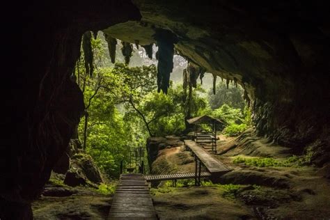 Niah National Park: Khám phá hang động cổ đại và vẻ đẹp hoang sơ của Sarawak!