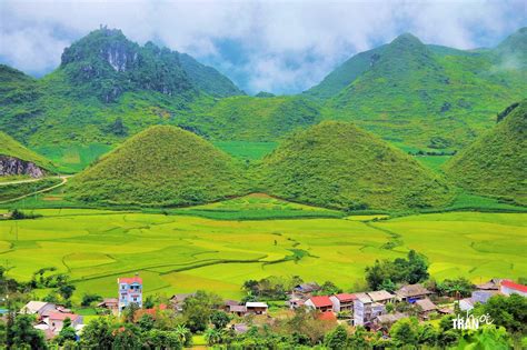  Vịnh Cửu Long: Nơi Đong Đầy Lịch Sử Và Thiên Nhiên Quyến Rủ!