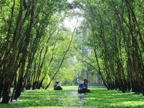  Lăng Tổ Mộ, Lịch Sử Chìm Trong Bóng Xanh!