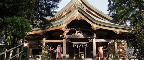 Miyoshi Shrine, Ngôi Đền Cổ kính Lấp Lánh Vàng giữa Thiên nhiên Xanh Mát!